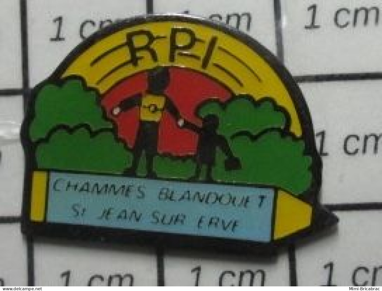 915B Pin's Pins / Beau Et Rare / ADMINISTRATIONS / RPI ECOLIERS CHAMMES BLANDOUIT ST JEAN SUR ERVE - Administration