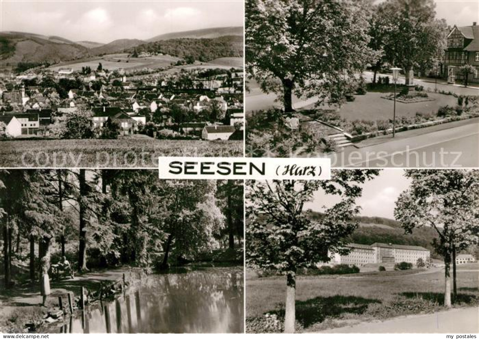 73169396 Seesen Harz Panorama Denkmal Partie Am Weiher Seesen Harz - Seesen