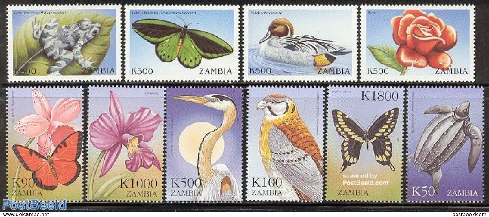 Zambia 1999 Animals & Plants 10v, Mint NH, Nature - Birds - Birds Of Prey - Butterflies - Ducks - Frogs & Toads - Turt.. - Zambie (1965-...)