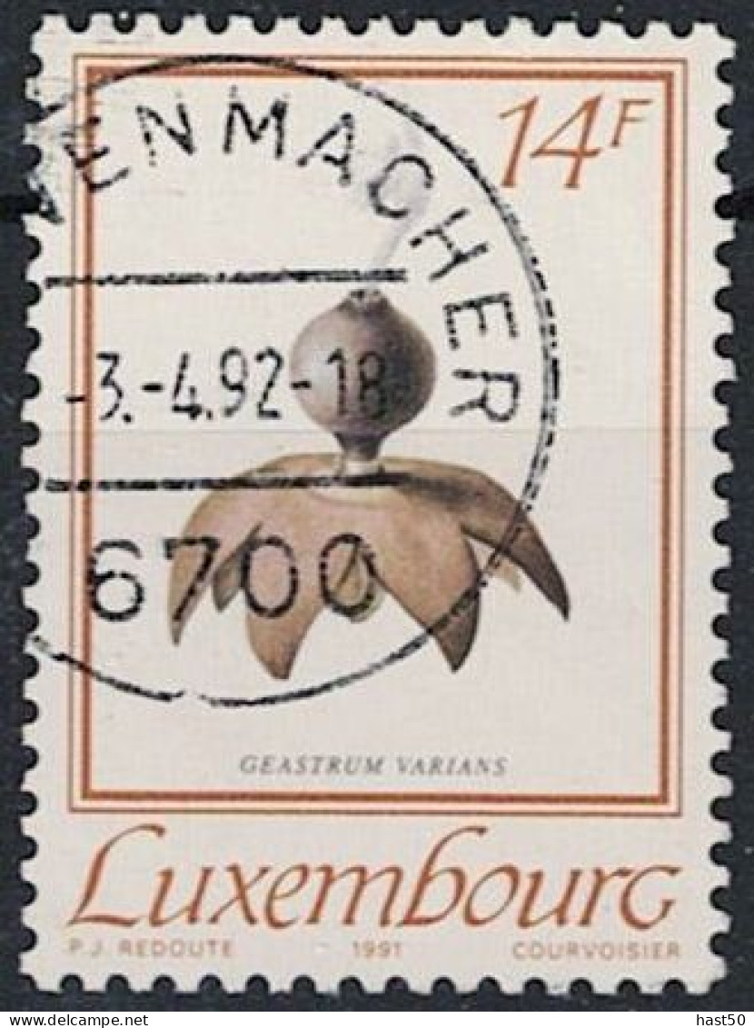 Luxemburg - Gewimperter Erdstern (Geastrum Varians) (MiNr: 1267) 1991 - Gest Used Obl - Used Stamps