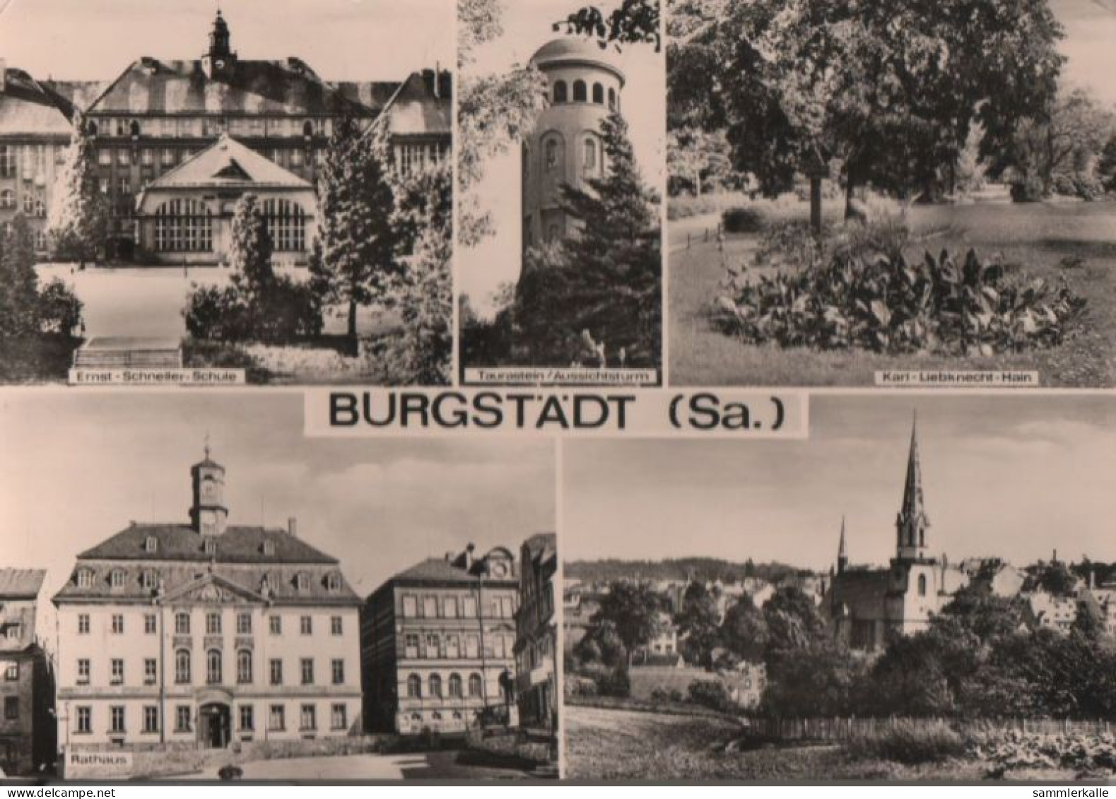 43394 - Burgstädt - U.a. Karl-Liebknecht-Hain - 1978 - Burgstädt