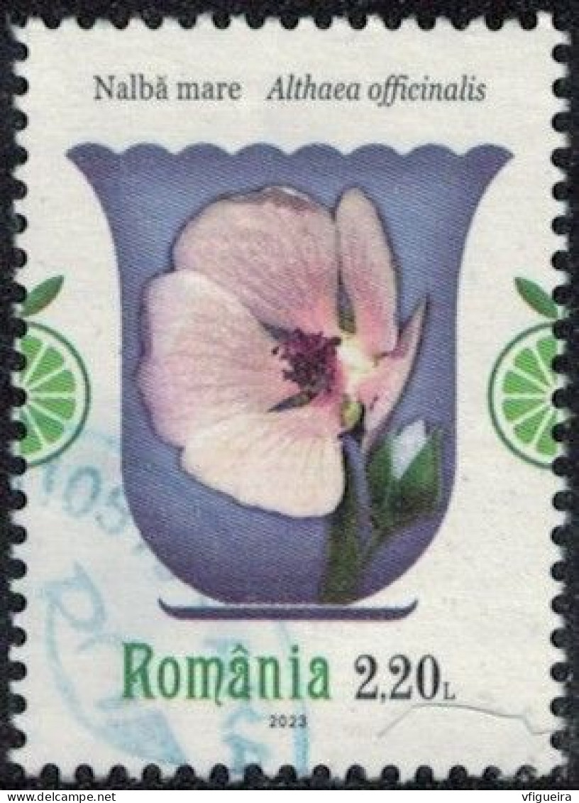 Roumanie 2023 Oblitéré Used Plantes Médicinales Althaea Officinalis Guimauve Officinale Y&T RO 6960 SU - Gebraucht