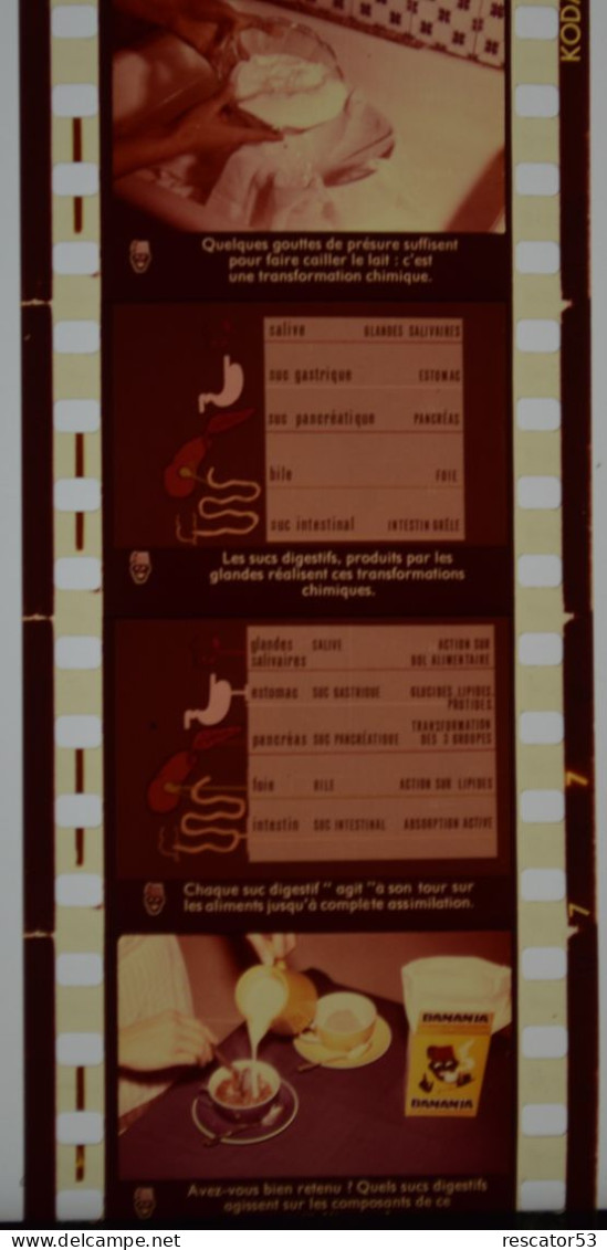 Film Fixe Se Nourrir Sainement Publicité Banania Années 50 - Bobinas De Cine: 35mm - 16mm - 9,5+8+S8mm
