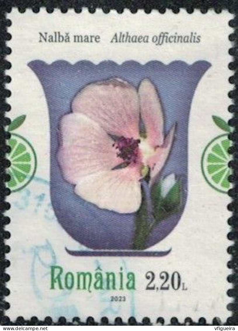 Roumanie 2023 Oblitéré Used Plantes Médicinales Althaea Officinalis Guimauve Officinale Y&T RO 6960 SU - Oblitérés