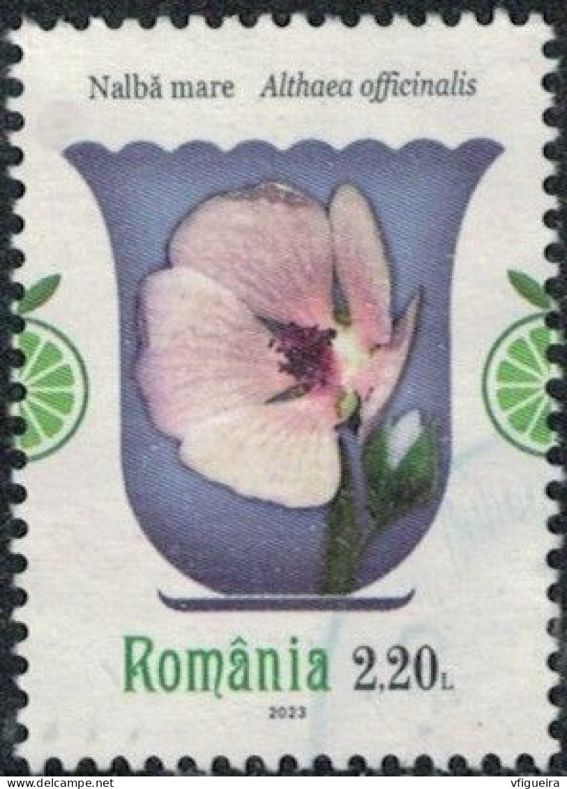 Roumanie 2023 Oblitéré Used Plantes Médicinales Althaea Officinalis Guimauve Officinale Y&T RO 6960 SU - Used Stamps