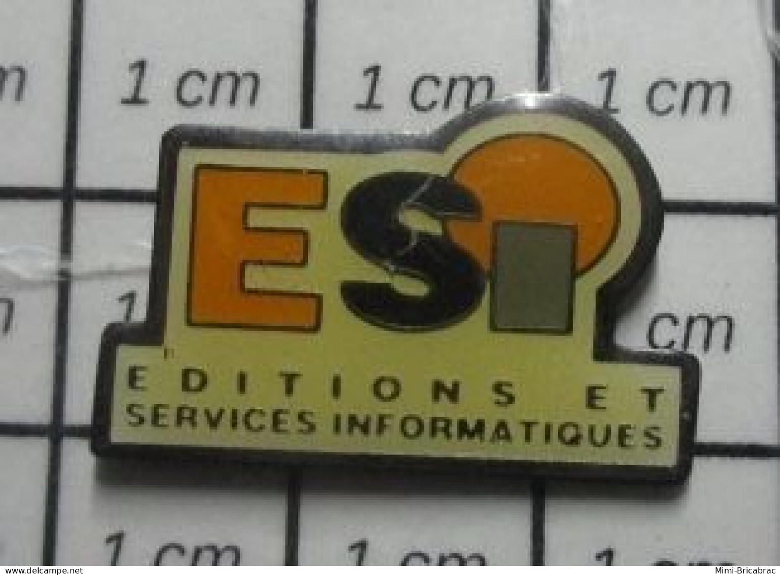 3619 Pin's Pins / Beau Et Rare / INFORMATIQUE / ESI EDITIONS ET SERVICES INFORMATIQUES - Informatique