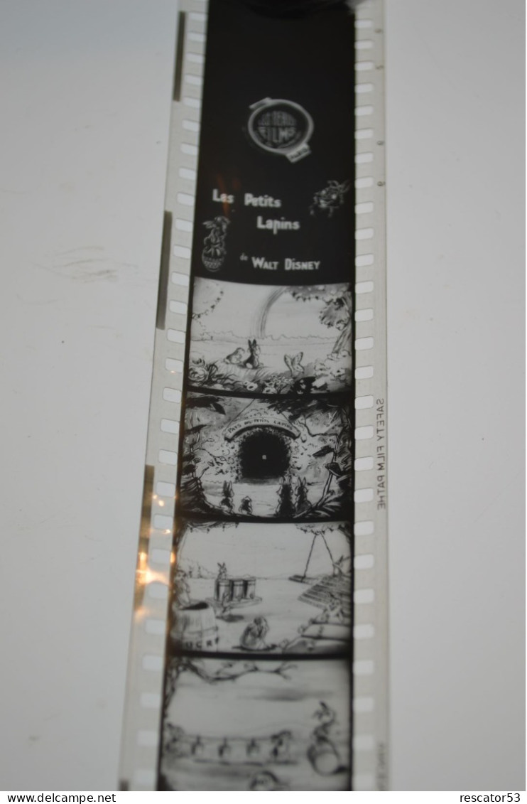 Film Fixe Walt Disney Les Petits Lapins - Pellicole Cinematografiche: 35mm-16mm-9,5+8+S8mm