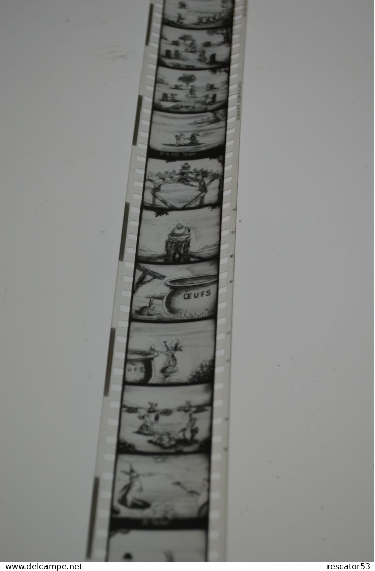 Film Fixe Walt Disney Les Petits Lapins - 35mm -16mm - 9,5+8+S8mm Film Rolls