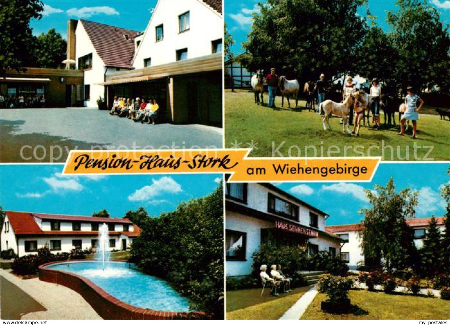 73167216 Bad Holzhausen Luebbecke Pension Haus Stork Am Wiehengebirge Ponys Boer - Getmold