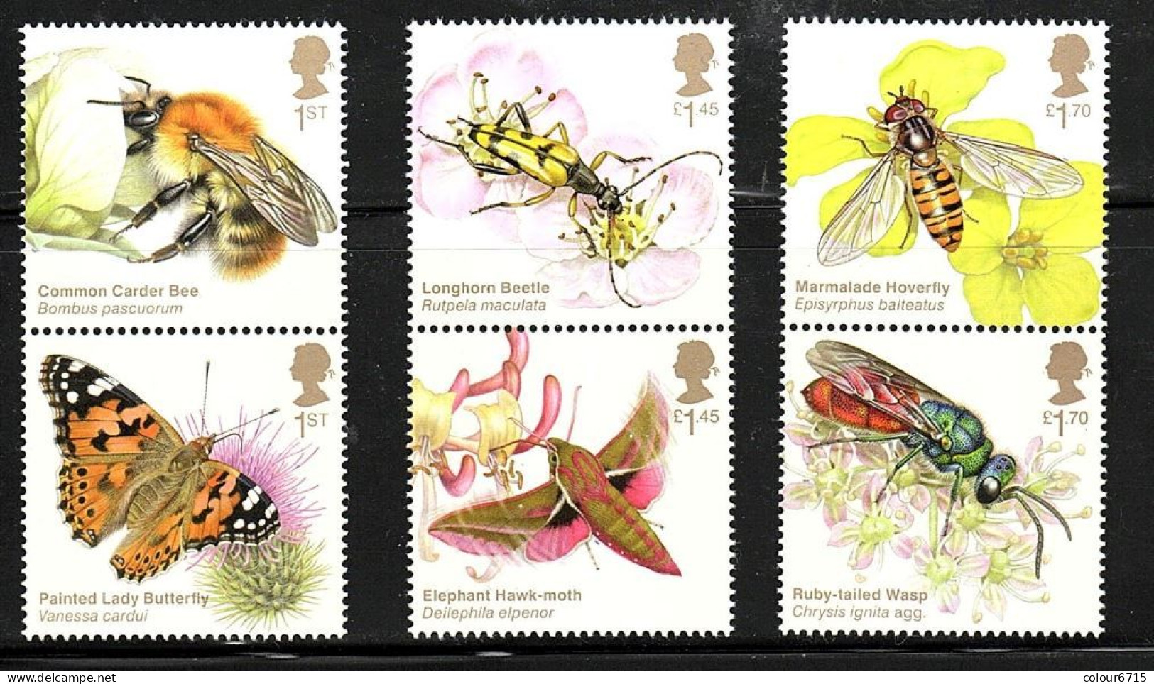 Great Britain/UK 2020 Insects - Brilliant Bugs Stamps 6v MNH - Unused Stamps