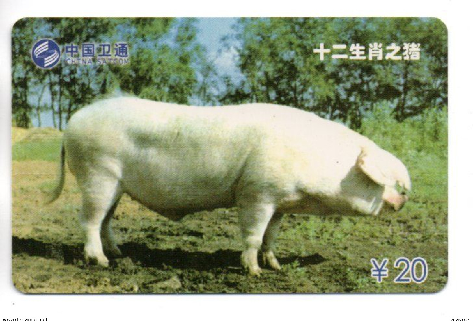 Cochon Pig Télécarte Chine Phonecard  (G 1060) - Chine