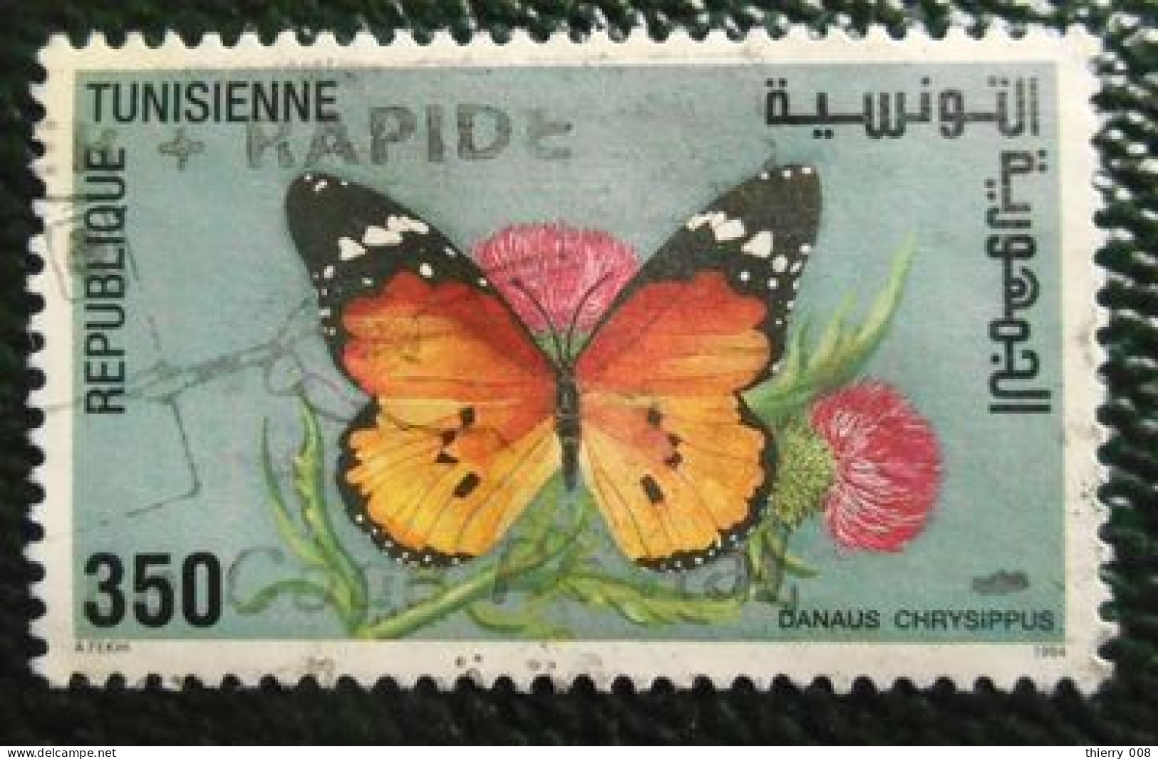 04 République Tunisienne Oblitéré Papillon - Vlinders