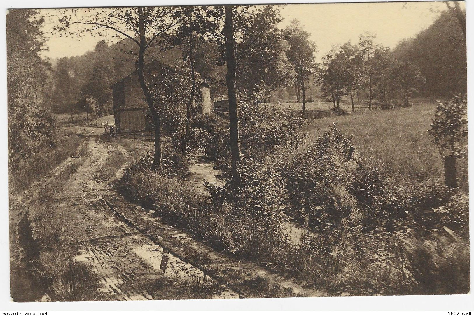 LIERNEUX : La Maison Du Garde Et La Vallée Du Groumont - Lierneux