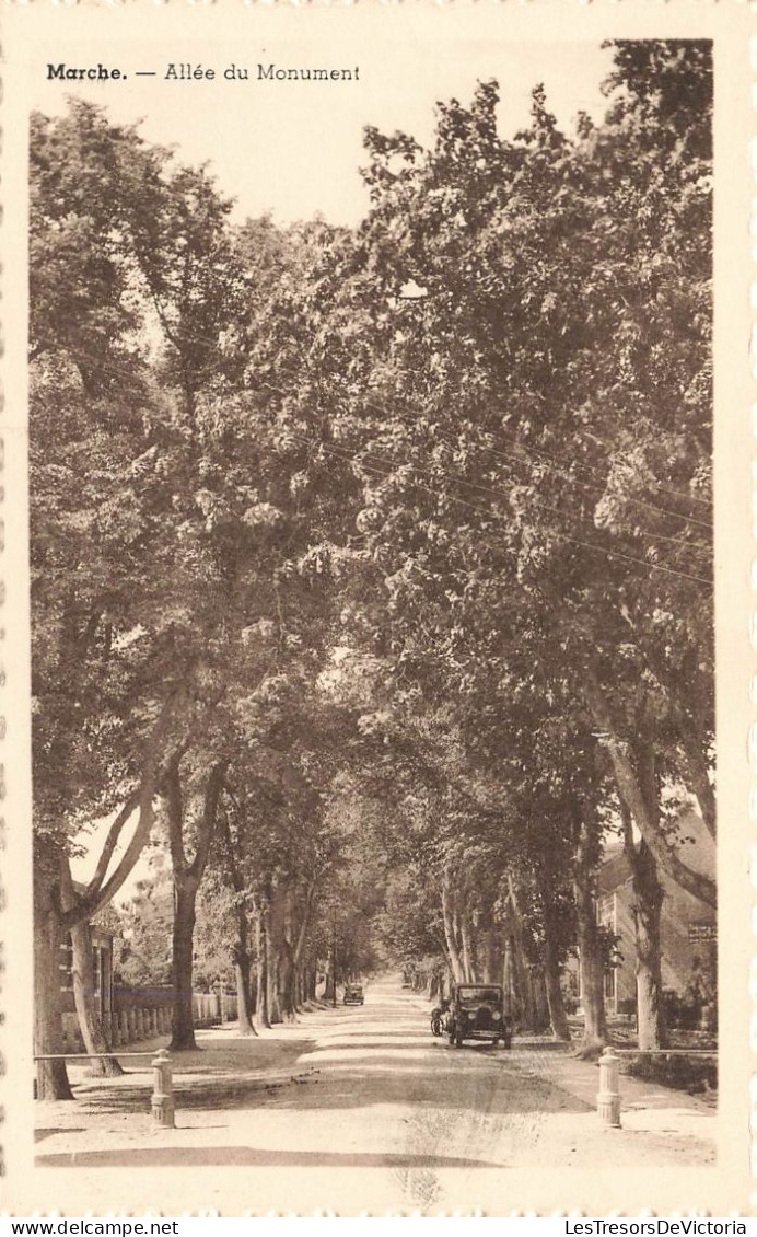 BELGIQUE - Marche - Vue Générale De L'allée Du Monument - Carte Postale Ancienne - Marche-en-Famenne