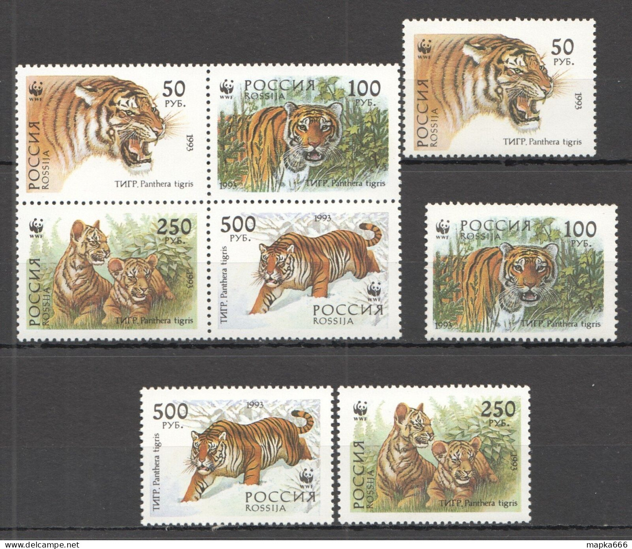 B0049 1993 Russia Fauna Wwf Tigers Wild Cats Animals #6178-6181 Kb+Set Mnh - Other & Unclassified