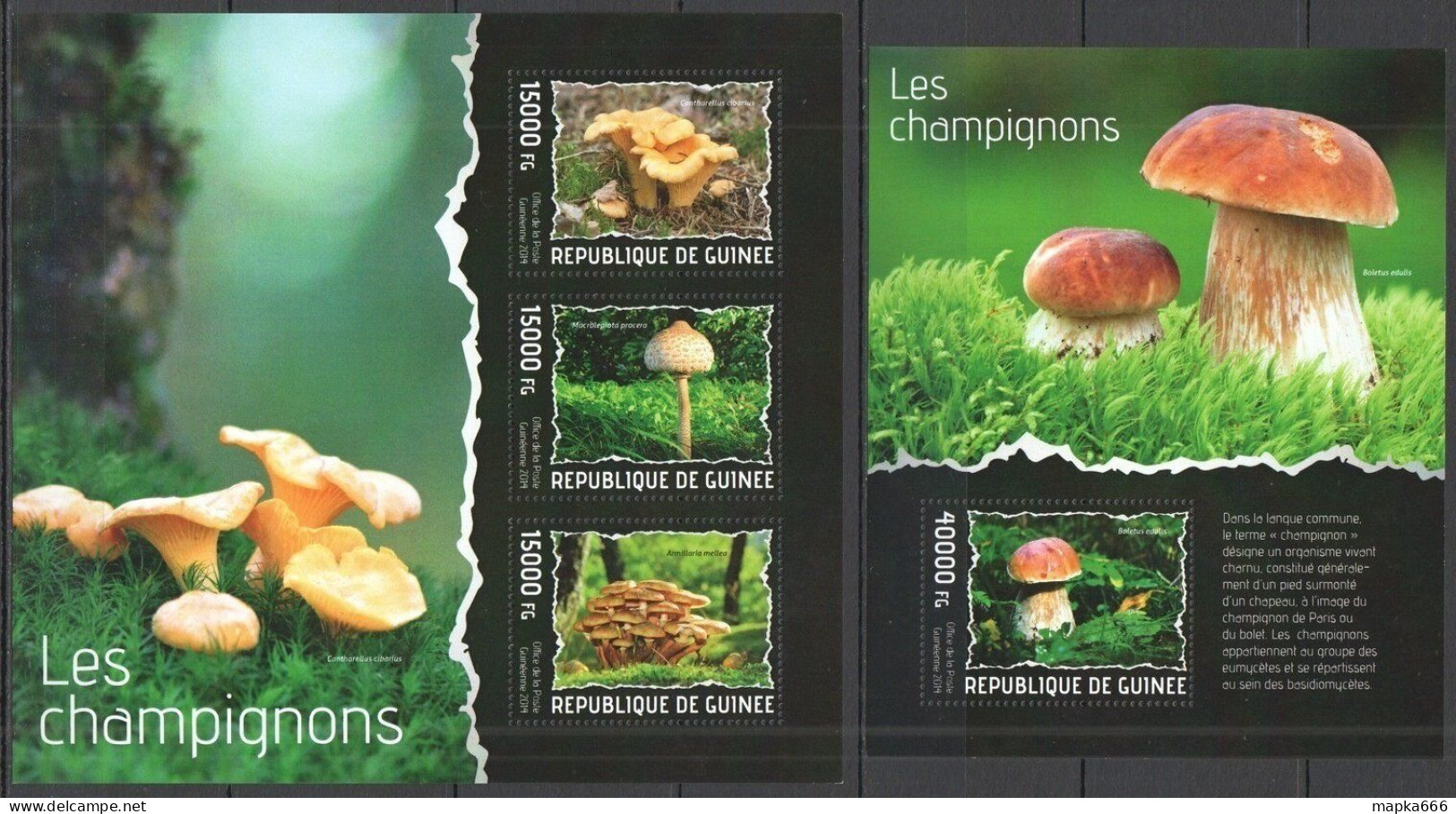 St692 2014 Guinea Flora Mushrooms Nature Kb+Bl Mnh Stamps - Pilze