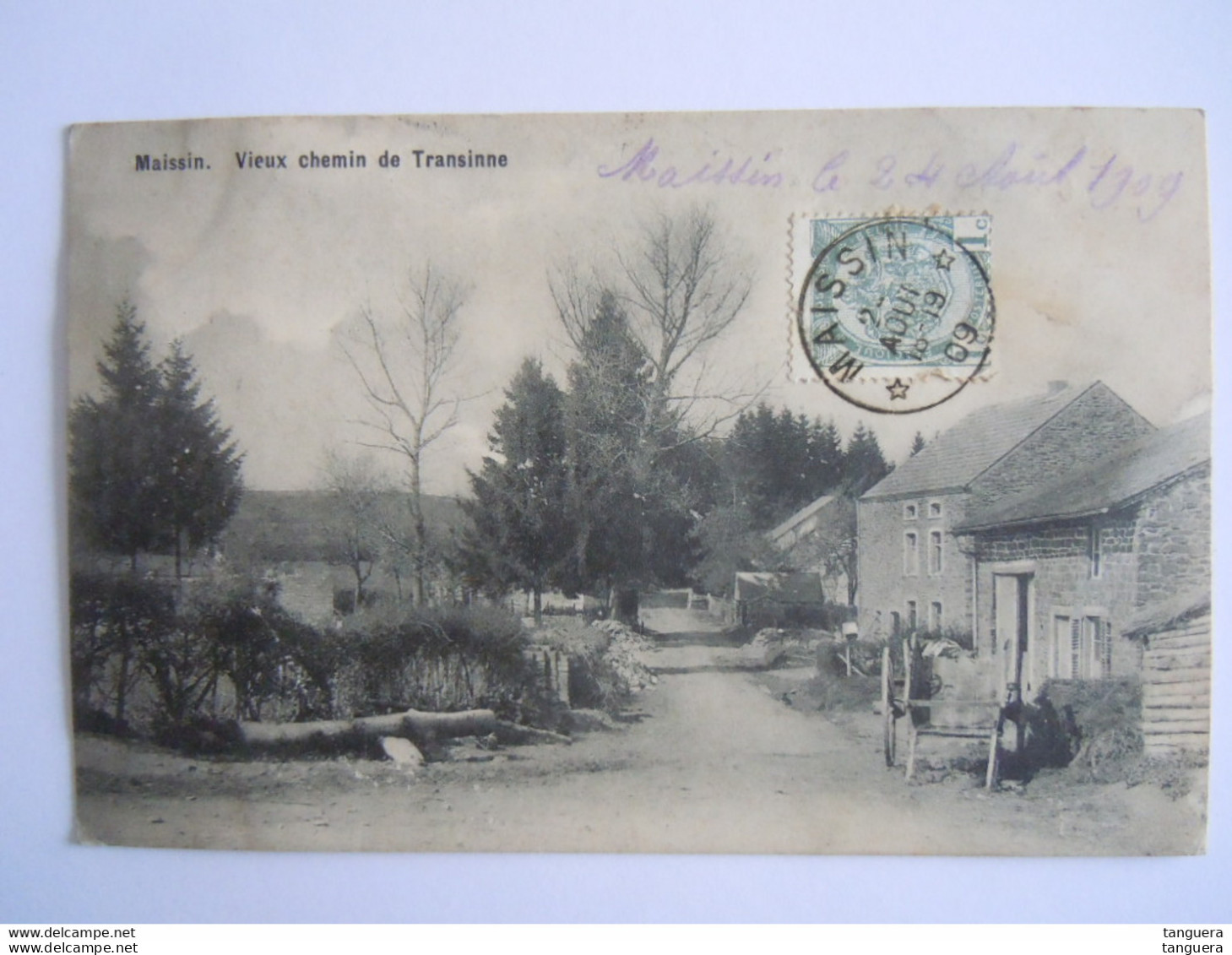 Maissin Vieux Chemin De Transinne Photo Duchêne Circulée 1909 - Paliseul