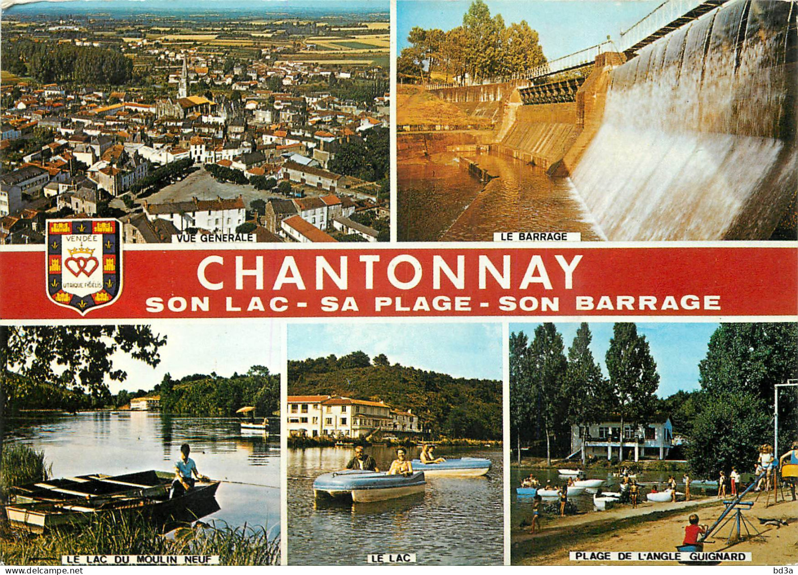 85 CHANTONNAY MULTIVUES - Chantonnay
