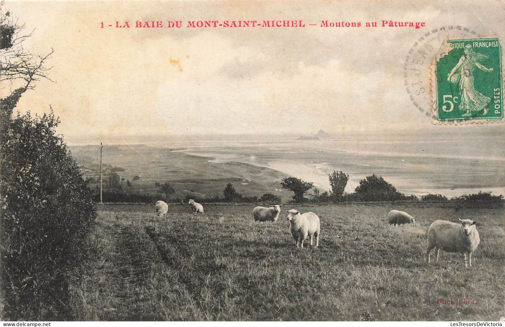 FRANCE - Le Mont Saint Michel - Moutons Au Pâturage - Carte Postale Ancienne - Le Mont Saint Michel