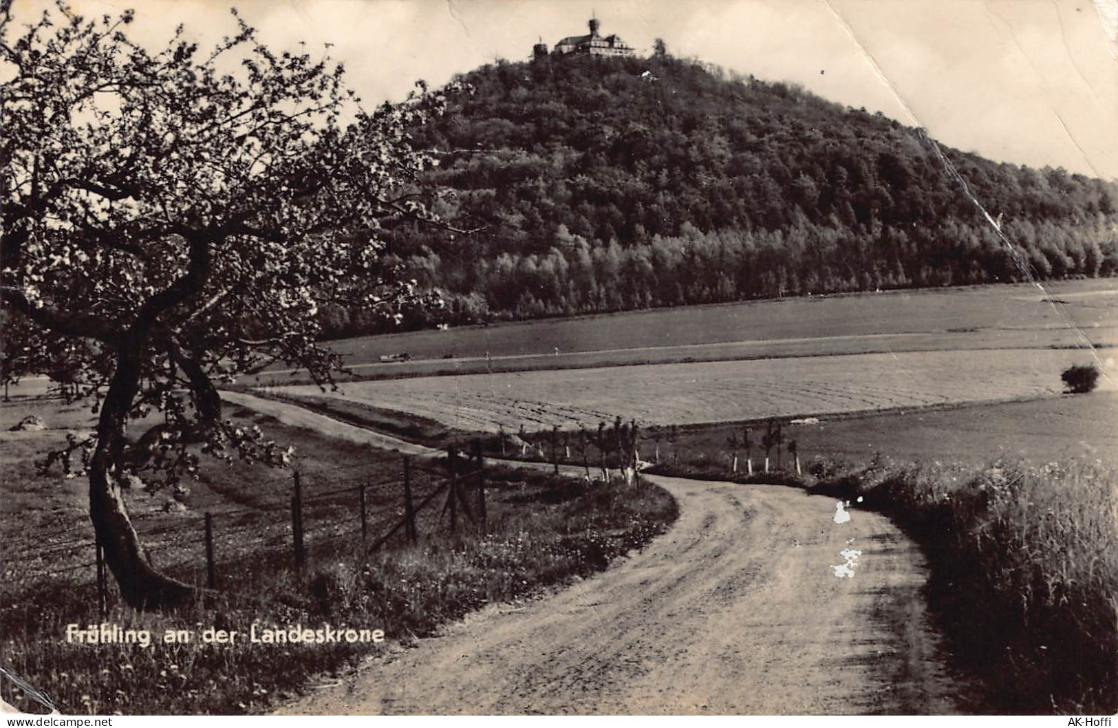 Görlitz - Frühling An Der Landeskrone (2881) - St. Gilgen