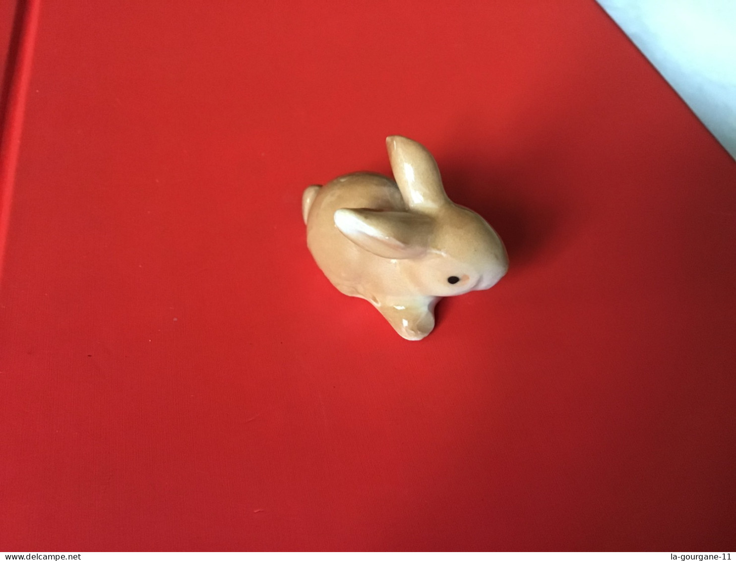 Grosse Fève Du Midi Trouée Lapin  4 X 2,25 Cm - Animaux