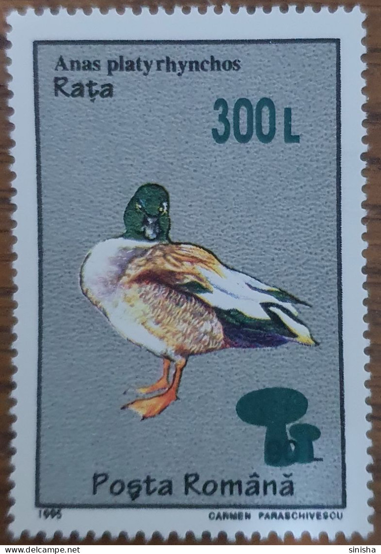 Romania / Duck - Used Stamps