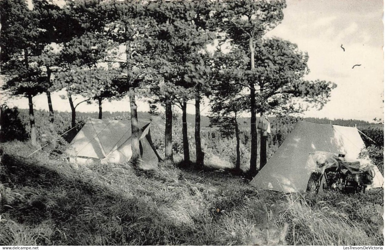 BELGIQUE - Marche En Famenne (Luxbg Belge) - "Euro Camping Paola" - Un Emplacement Bien Romantique - Carte Postale - Marche-en-Famenne