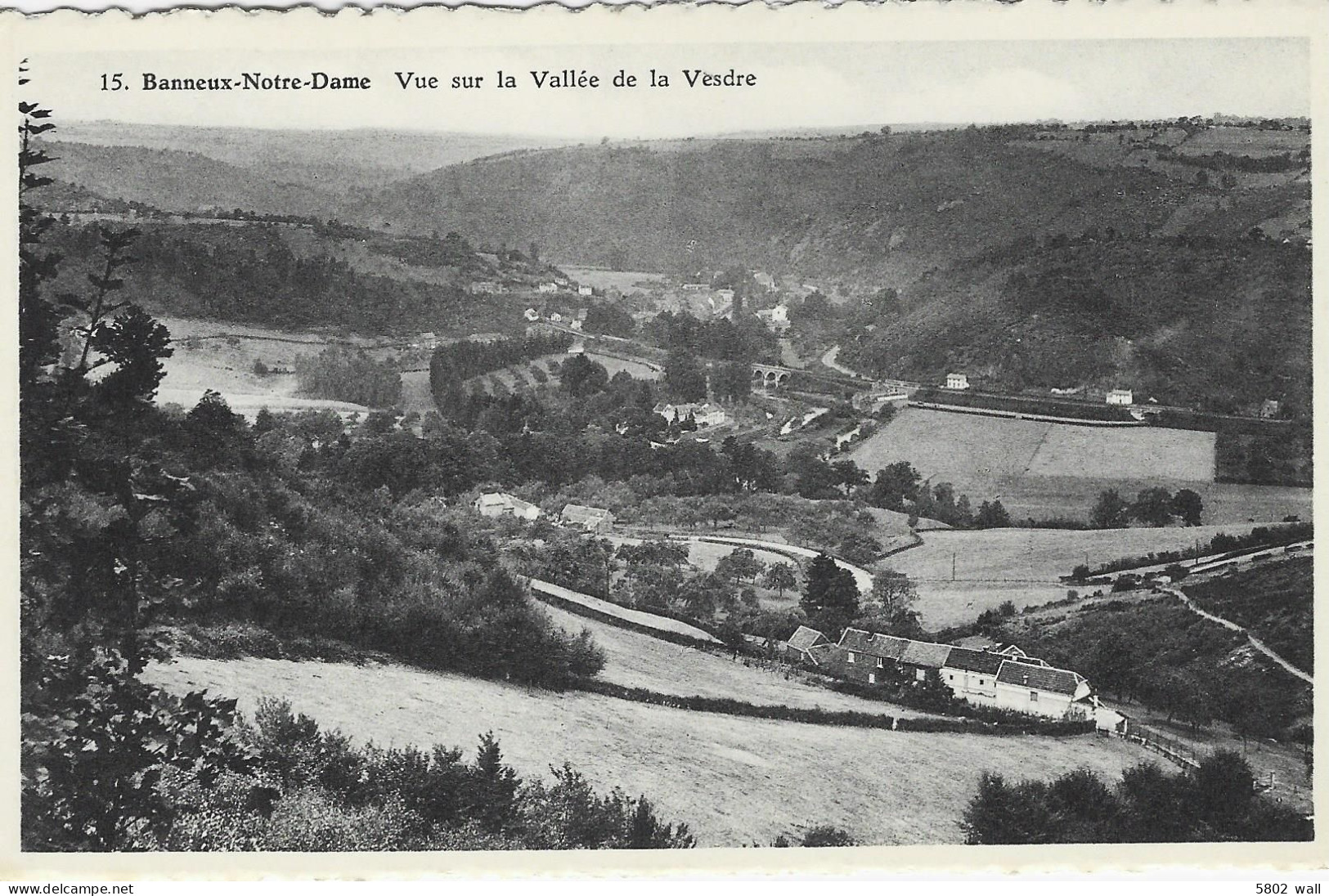 SPRIMONT - BANNEUX : Vue Sur La Vallée De La Vesdre - Sprimont