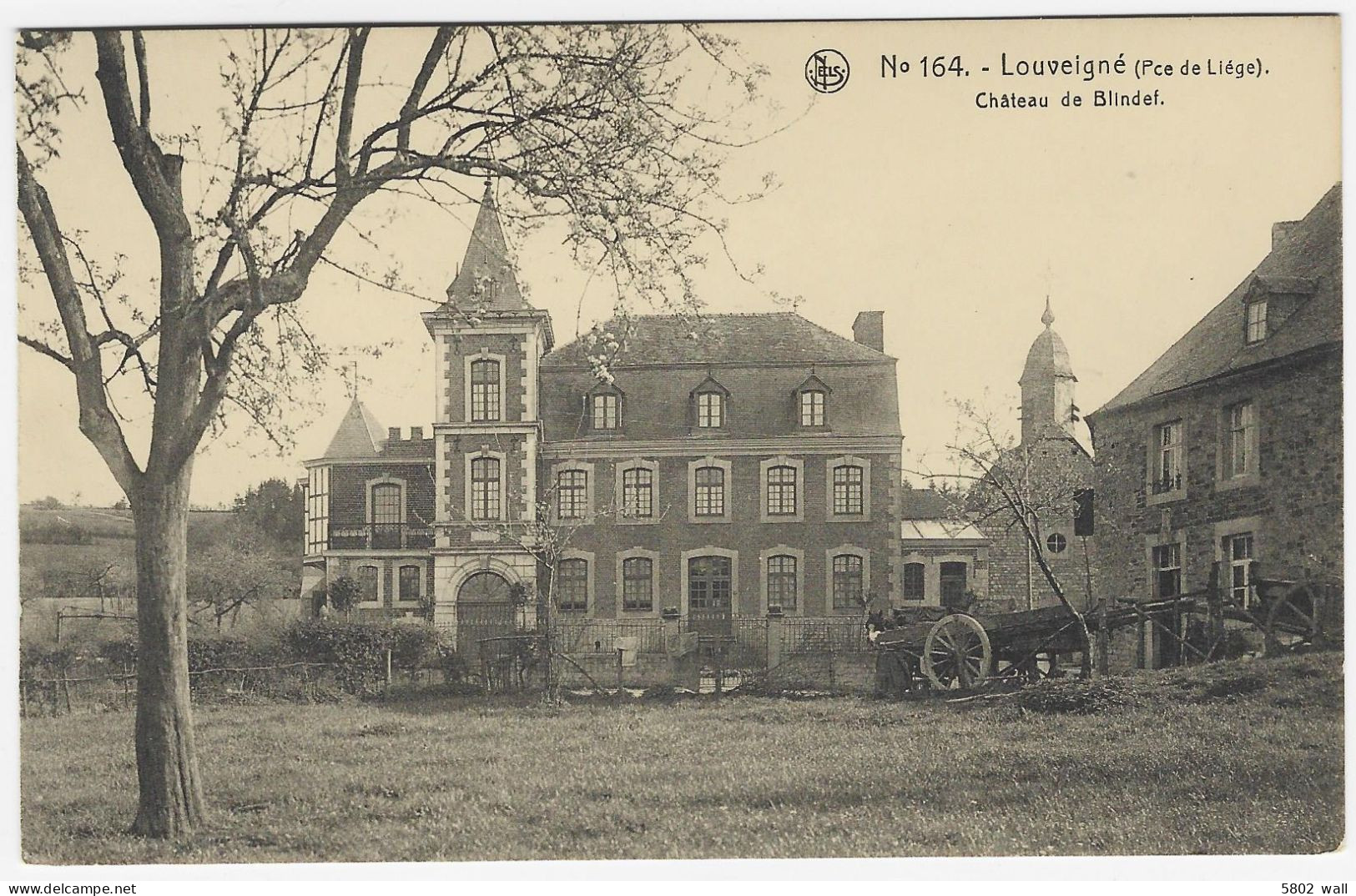 LOUVEIGNE :  Château De Blindef - Sprimont