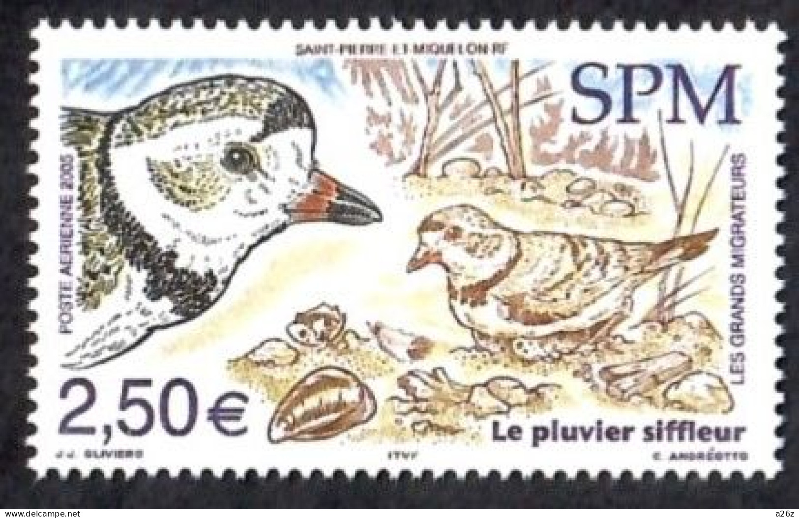 St. Pierre & Miquelon 2005  Piping Plover  Bird 1V Airmail MNH - Neufs