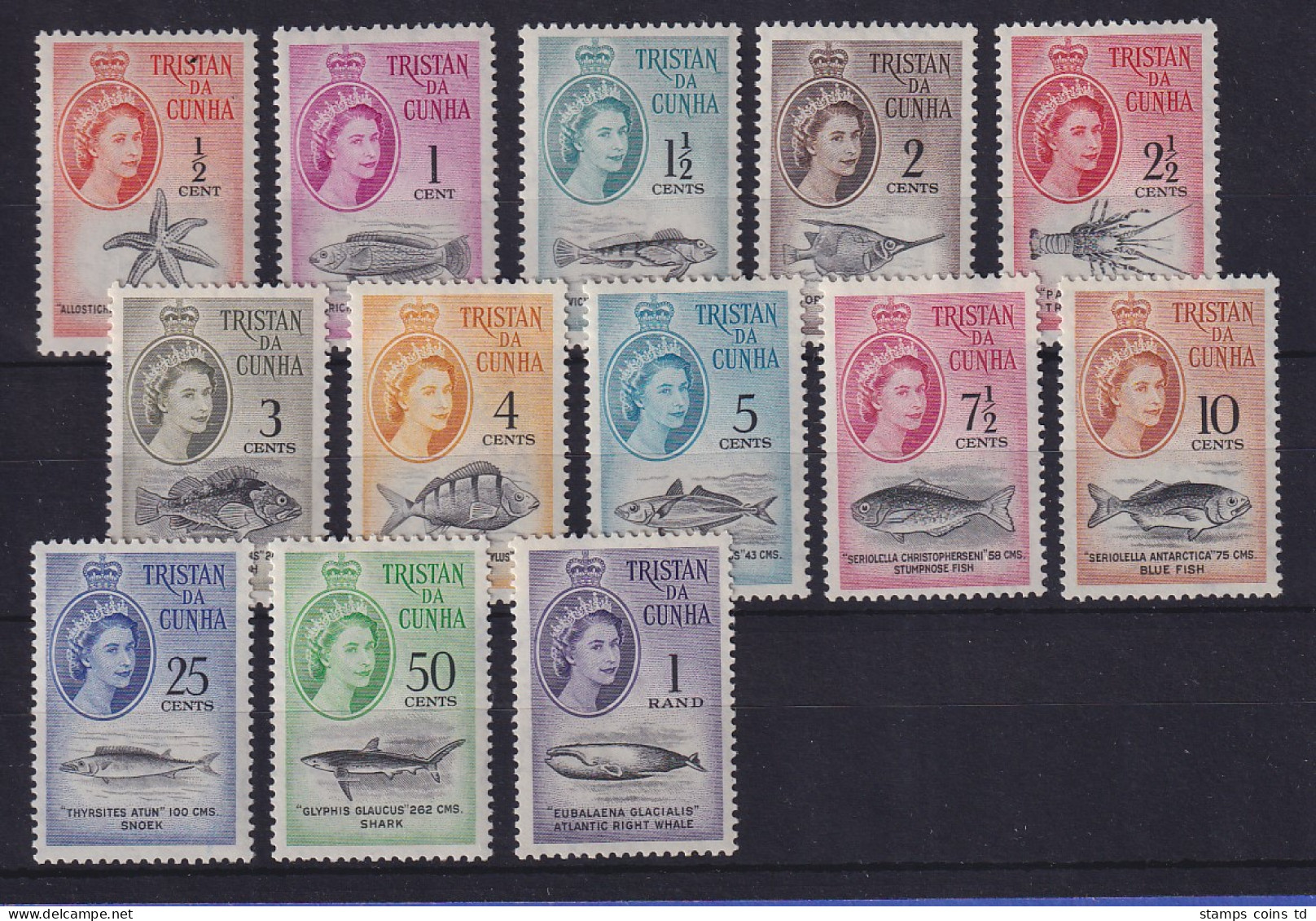 Tristan Da Cunha 1961 Meerestiere Rand-Währung Mi.-Nr 42-54 Postfrisch ** - Saint Helena Island