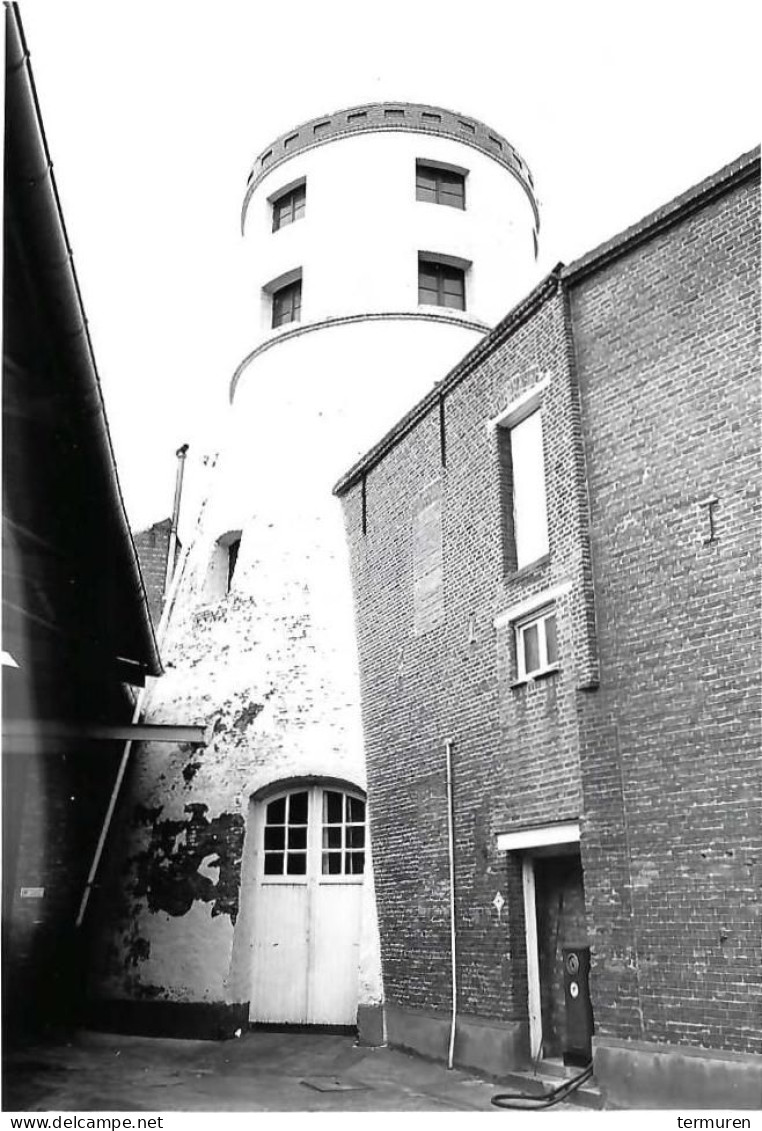 Lebbeke : De Molen        (pas Op Dit Is Een Foto) - Lebbeke