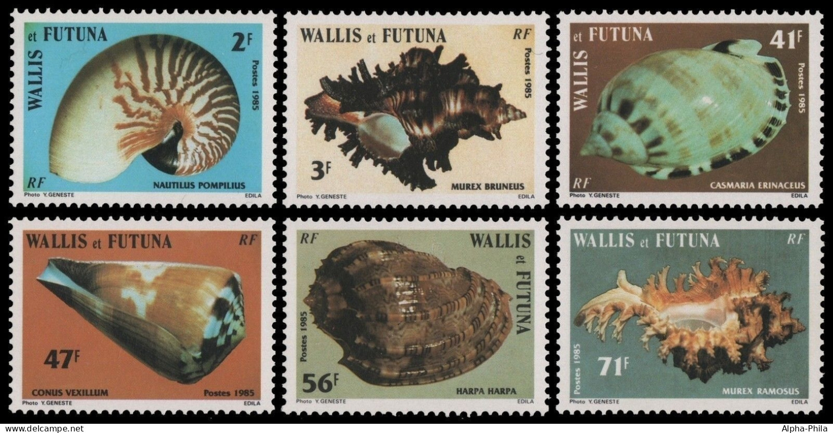 Wallis & Futuna 1985 - Mi-Nr. 479-484 ** - MNH - Meeresschnecken - Sonstige - Ozeanien