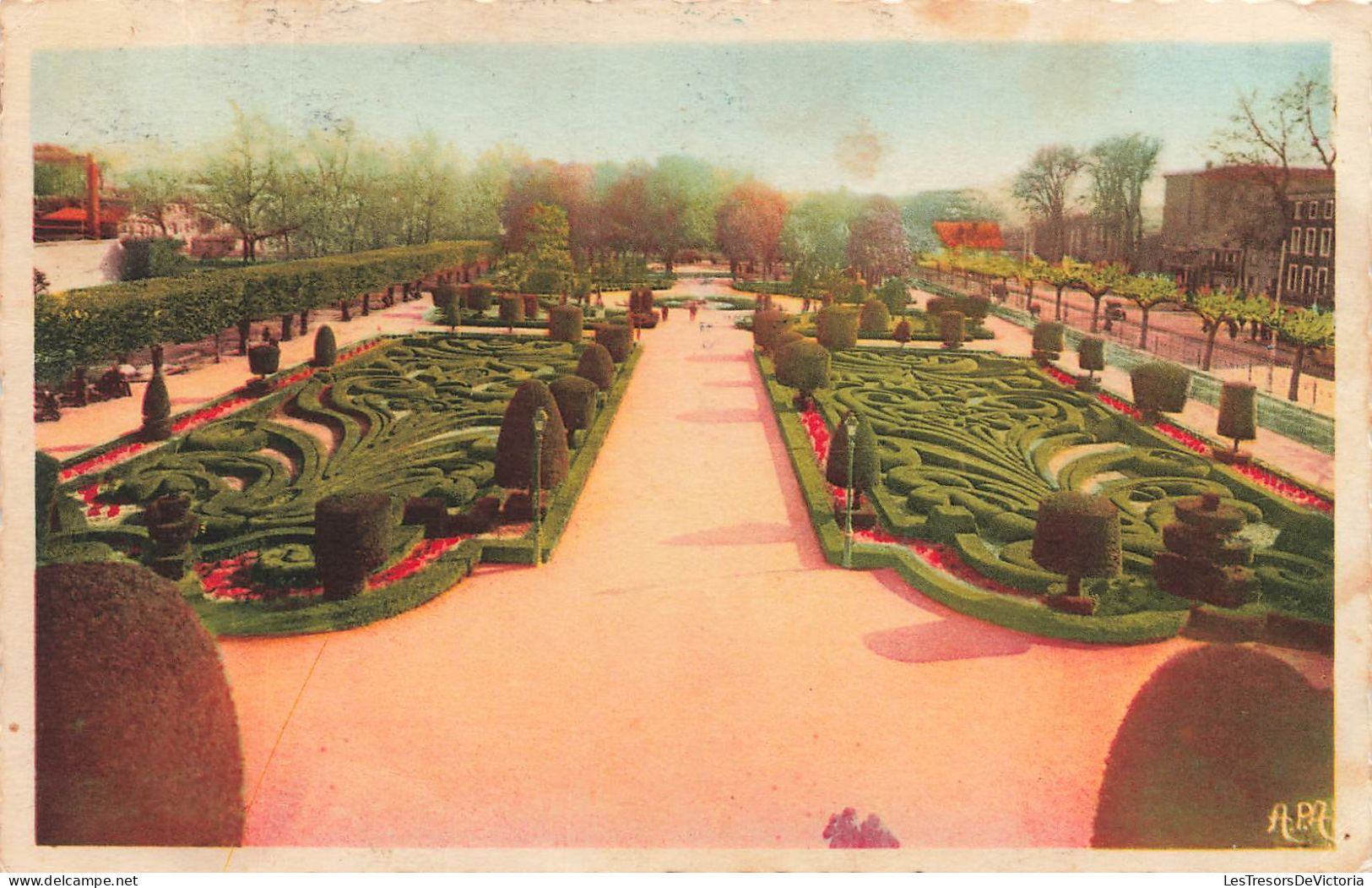 FRANCE - Castres - Vue Générale Du Jardin De L'Evêché - Colorisé - Carte Postale Ancienne - Castres