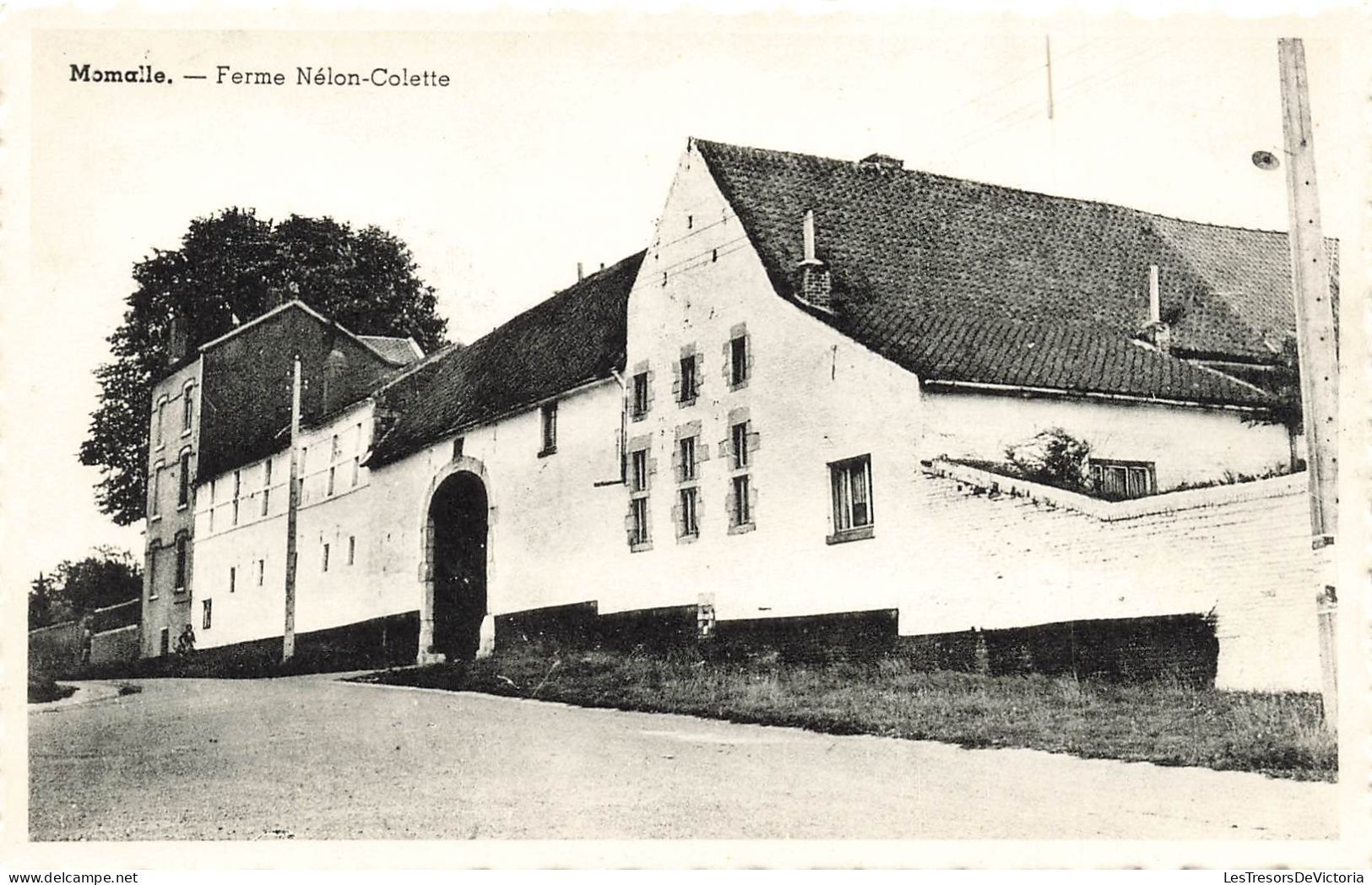 BELGIQUE - Momalle - Vue Sur La Ferme Nélon Colette - Vue Panoramique - Carte Postale Ancienne - Remicourt