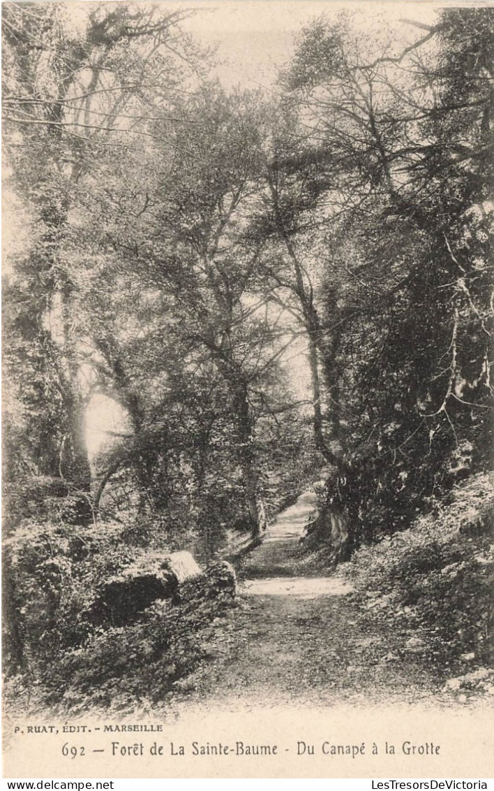 FRANCE - Forêt De La Sainte Baume - Du Canapé à La Grotte - Carte Postale Ancienne - Autres & Non Classés