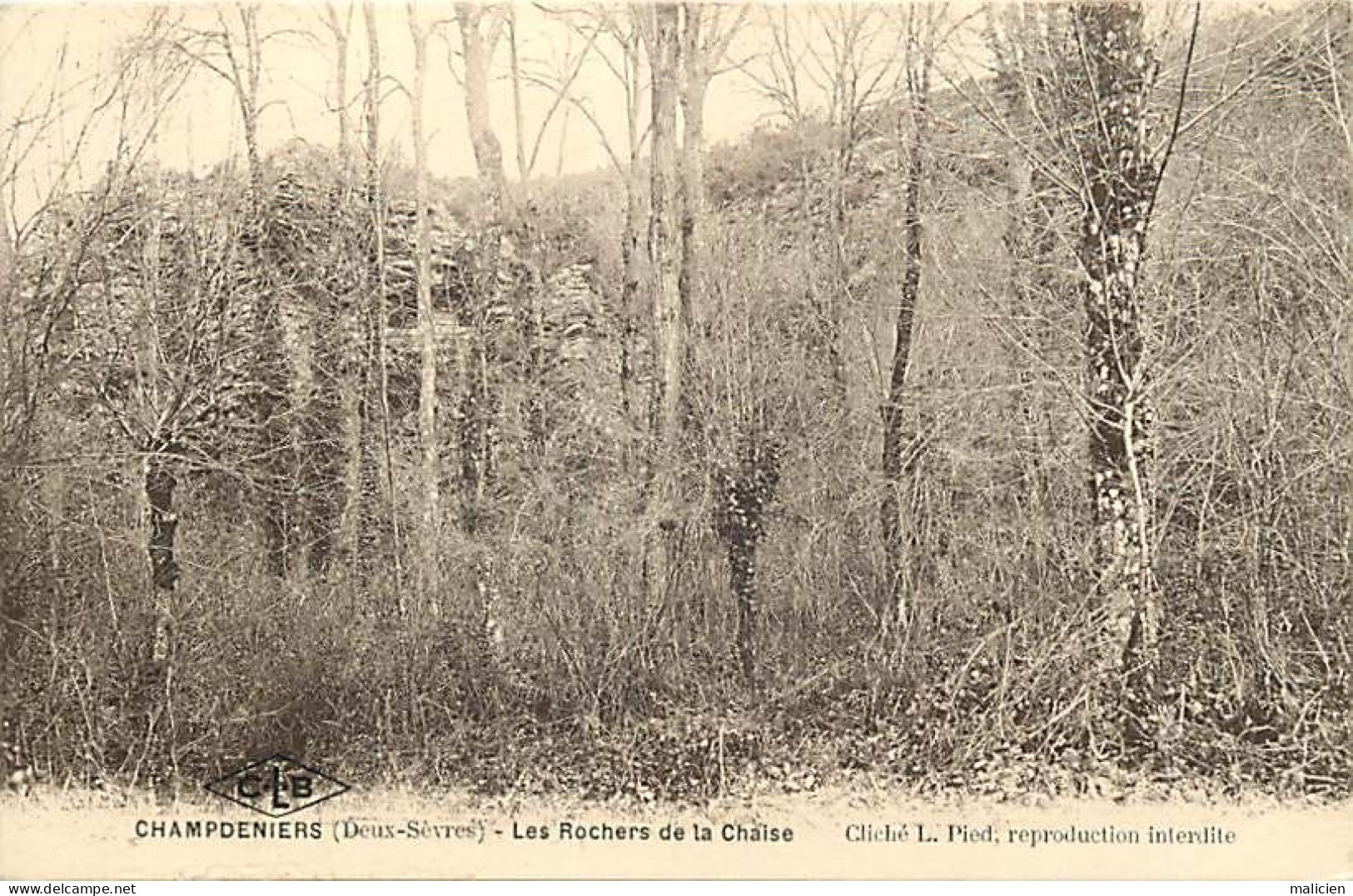 - Deux Sèvres -ref-B13- Champdeniers - Rochers De La Chaise - - Champdeniers Saint Denis