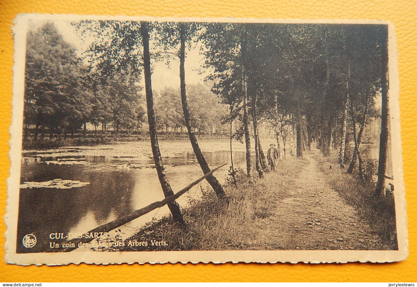 CUL-des-SARTS  -  Un Coin Des étangs Des Arbres Verts - Couvin