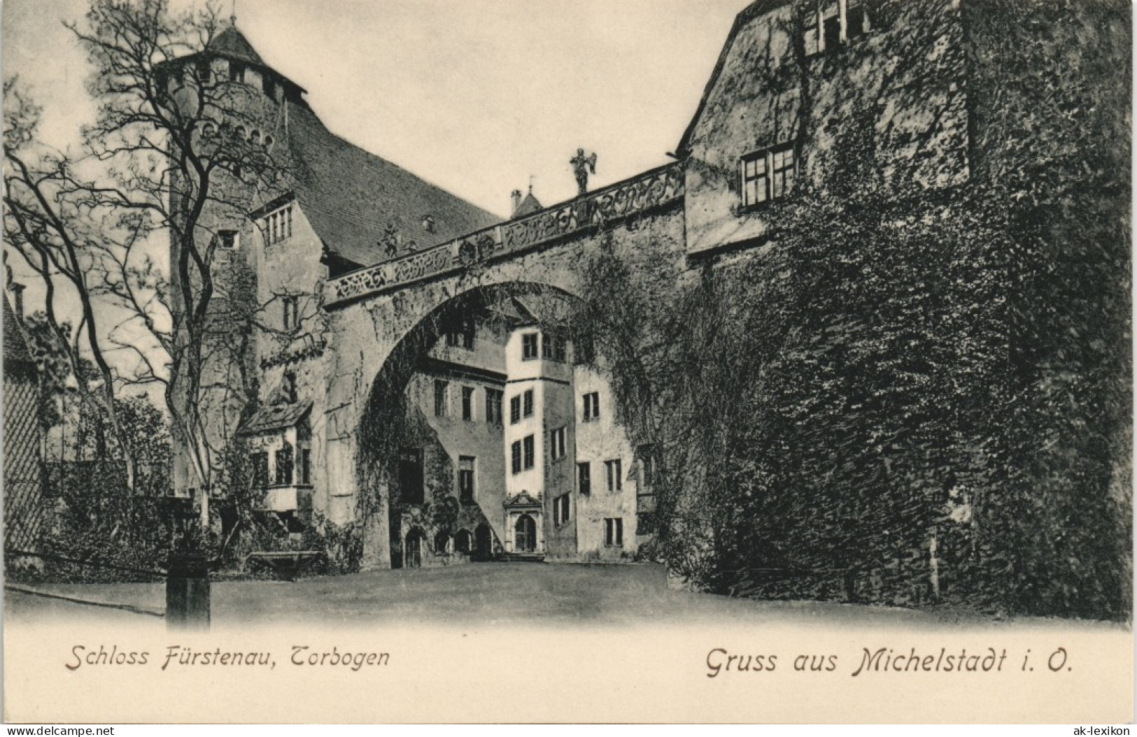 Ansichtskarte Michelstadt Schloss Fürstenau - Torbogen, Bäume 1908 - Michelstadt