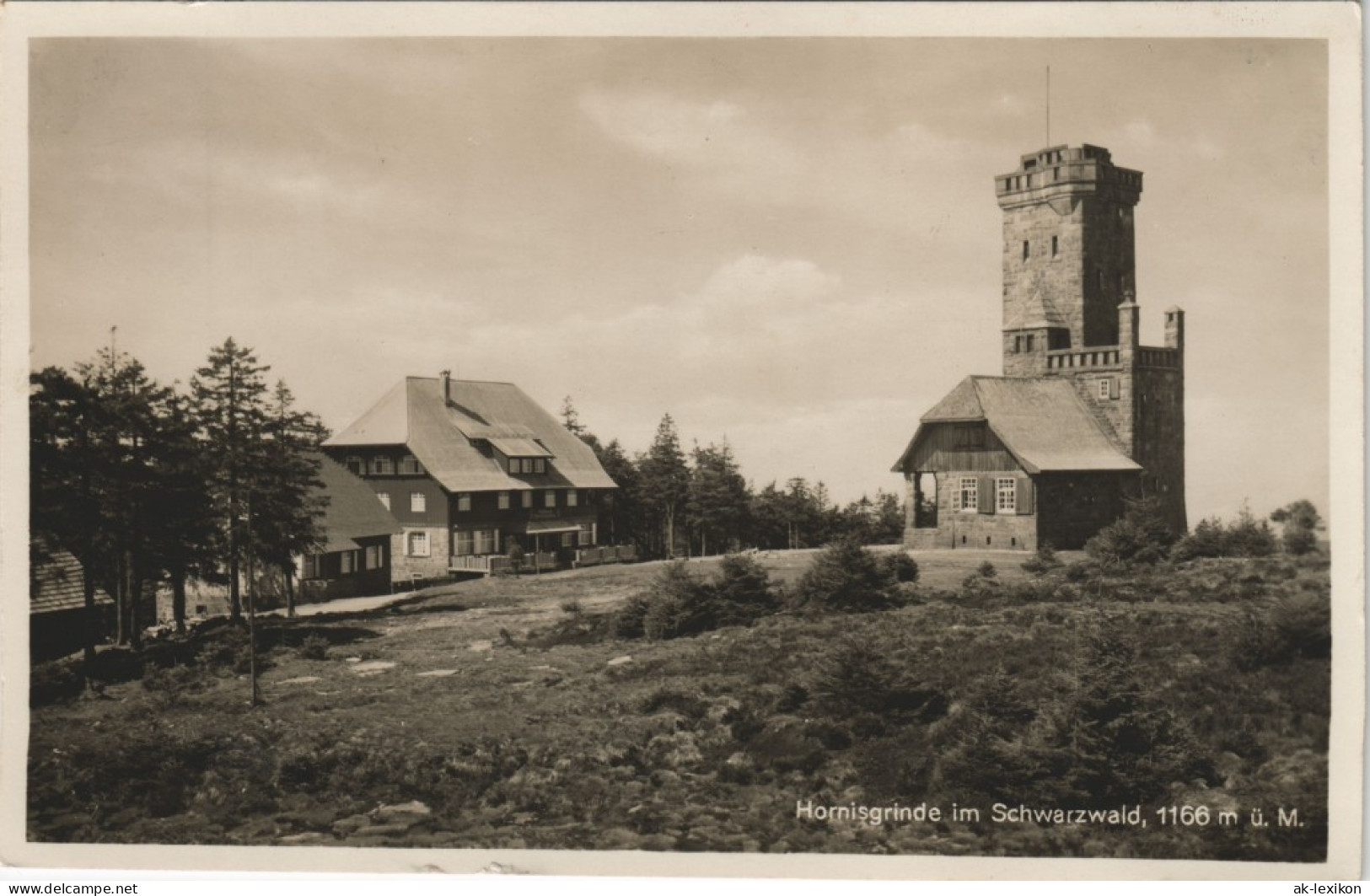 Ansichtskarte Achern Hornisgrinde (Berg), Turm 1931 - Achern