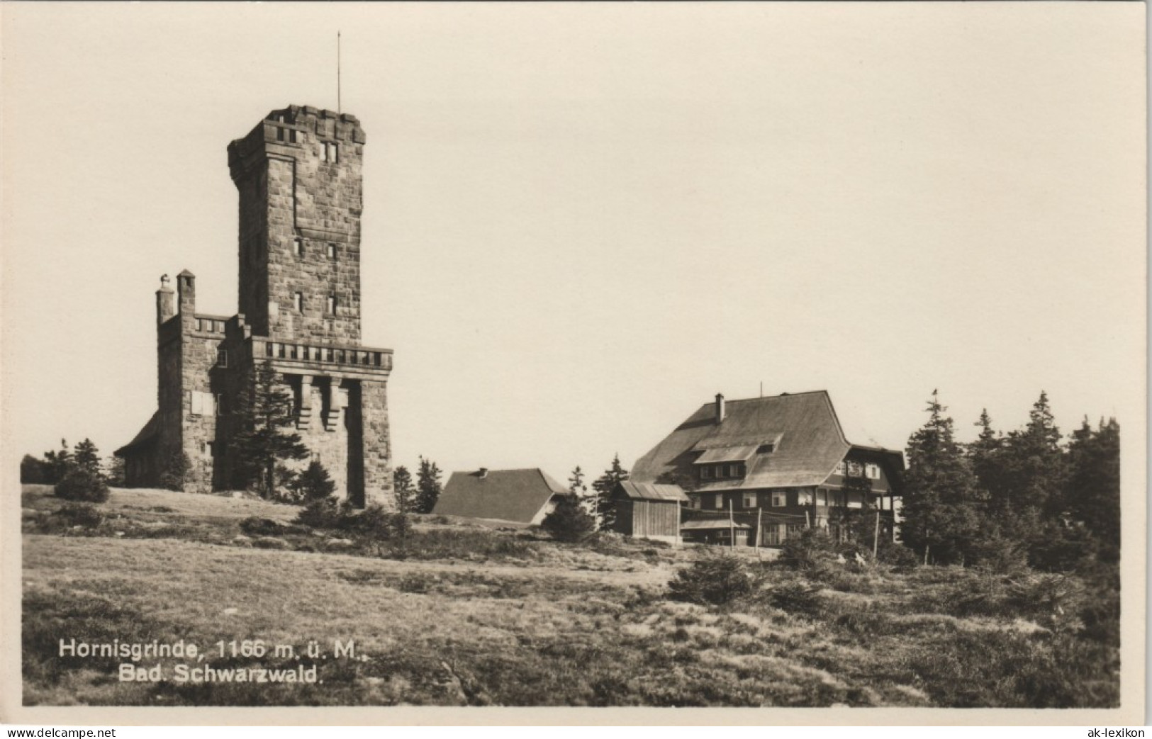 Ansichtskarte Achern Hornisgrinde (Berg) - Fotokarte 1925 - Achern