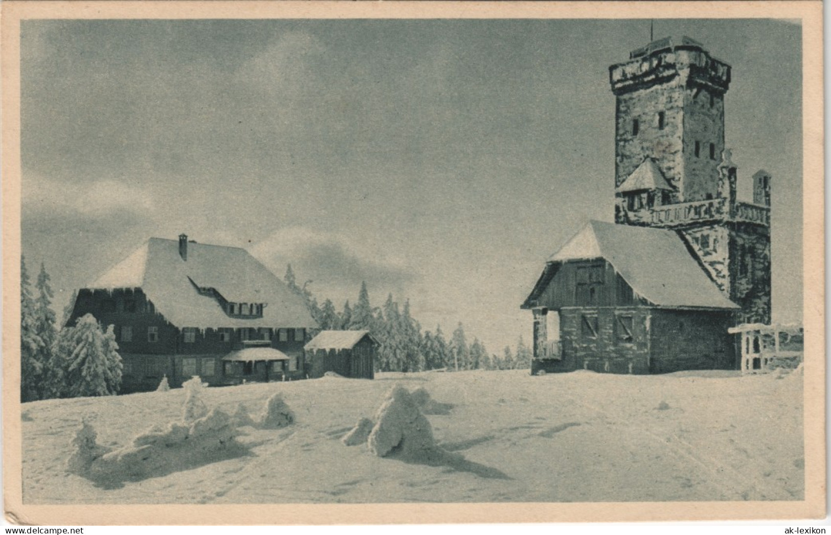 Ansichtskarte Achern Hornisgrinde (Berg) Im Winter 1915 - Achern