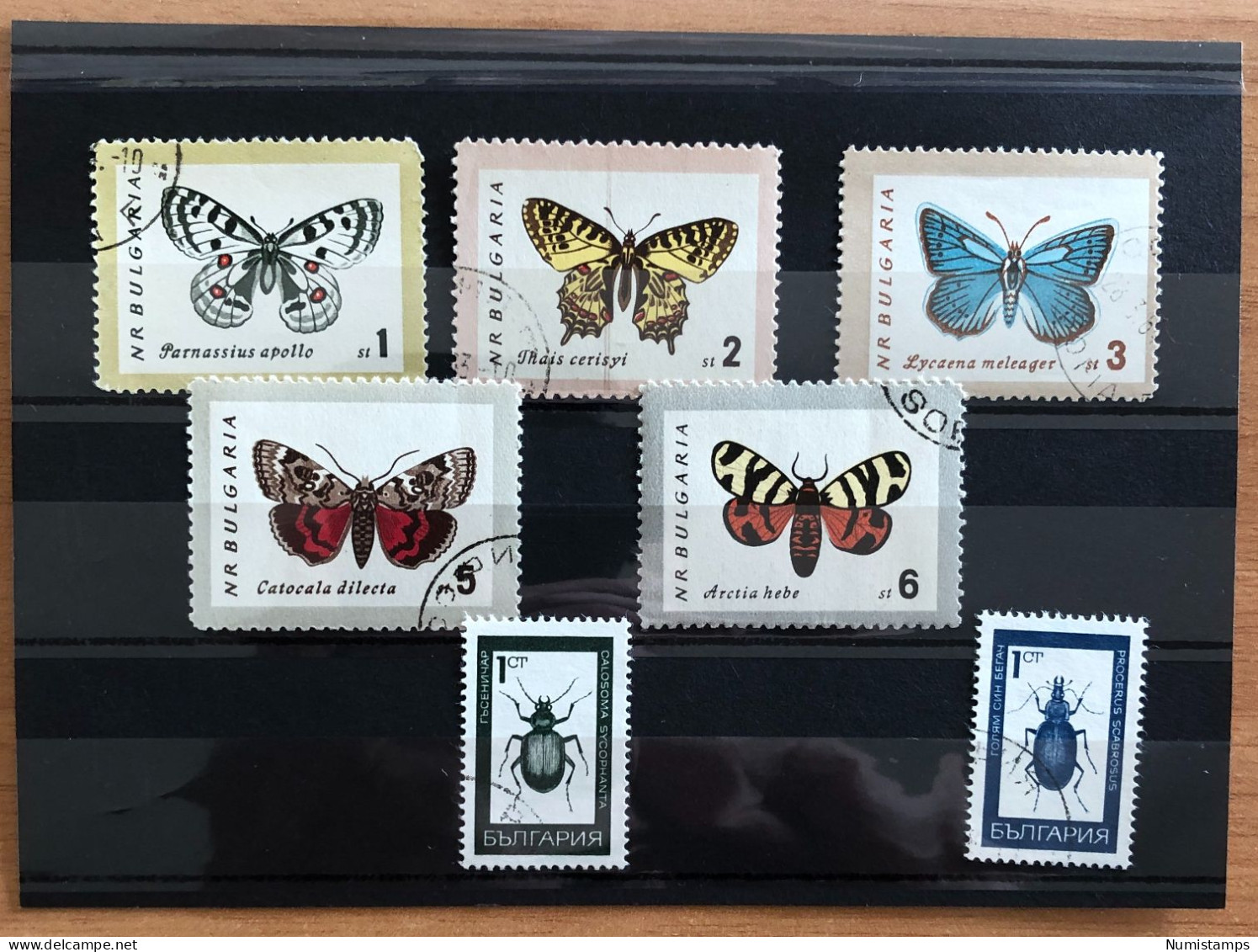 Bulgaria - Insects Theme (Butterflies, Cockroaches) - 1962-1968 - Used Stamps