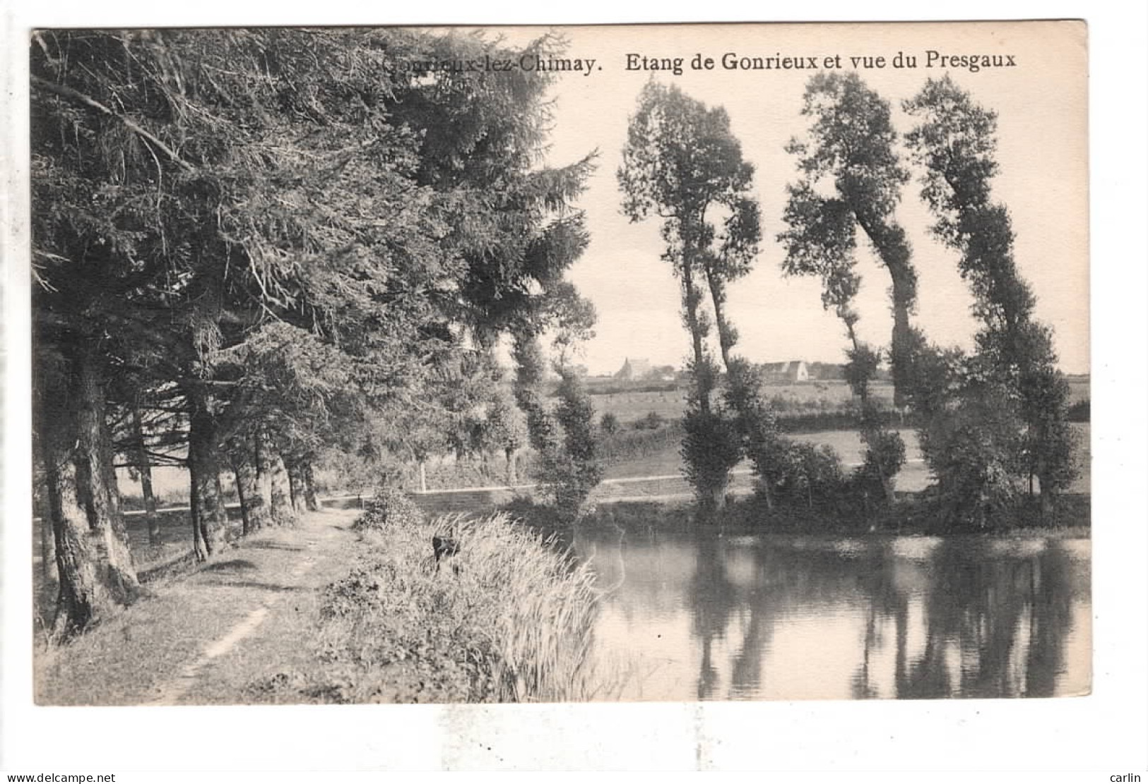 Gonrieux Lez Chimay Etang De Gonrieux Et Vue De Presgaux - Couvin