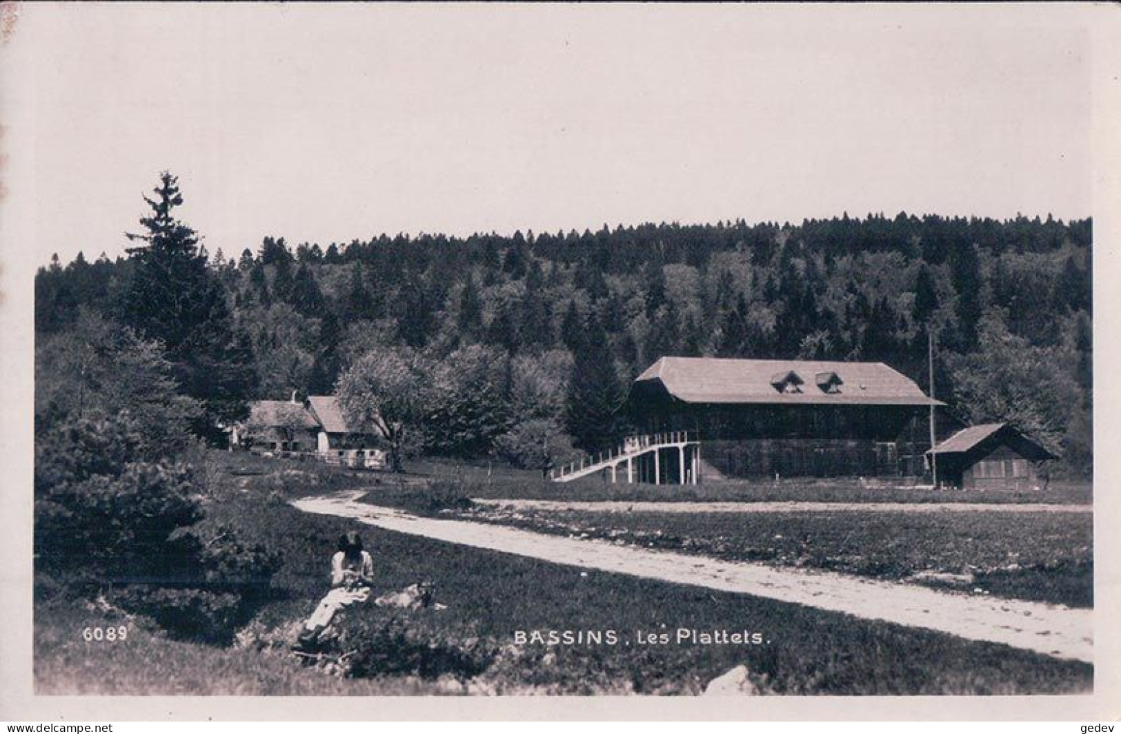 Bassins VD, Les Plattets, Ferme Et Chalets (6089) - Bassins