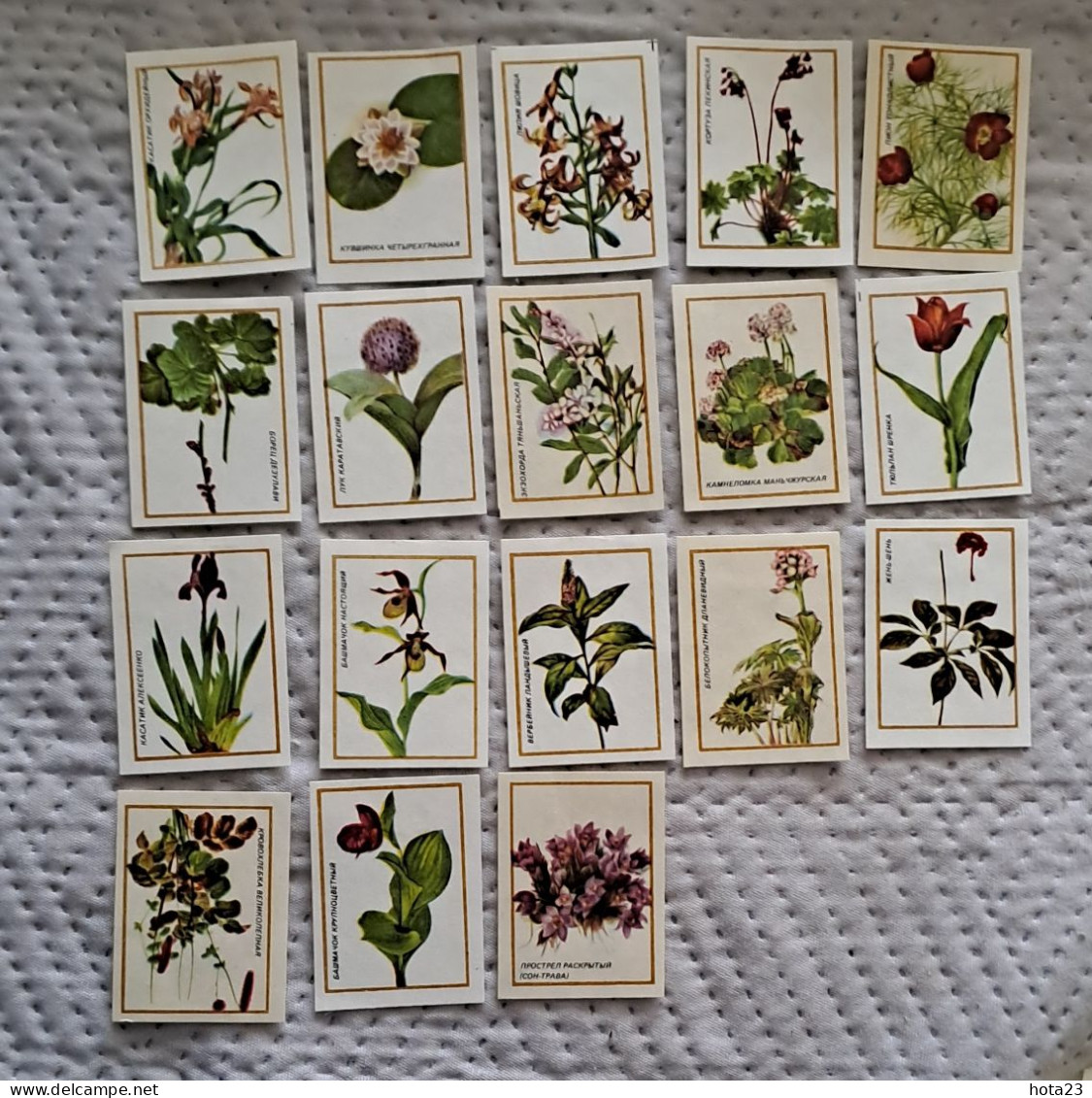 (!)  Russia FLORA Rare Flower Set Of 18 Pieces FINE RUSSIAN MATCHBOX LABELS - Boites D'allumettes - Etiquettes