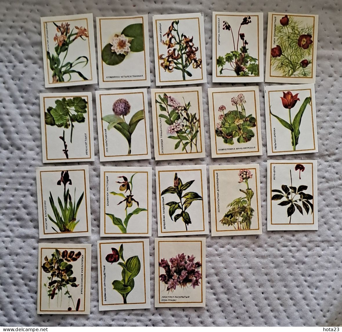 (!)  Russia FLORA Rare Flower Set Of 18 Pieces FINE RUSSIAN MATCHBOX LABELS - Boites D'allumettes - Etiquettes
