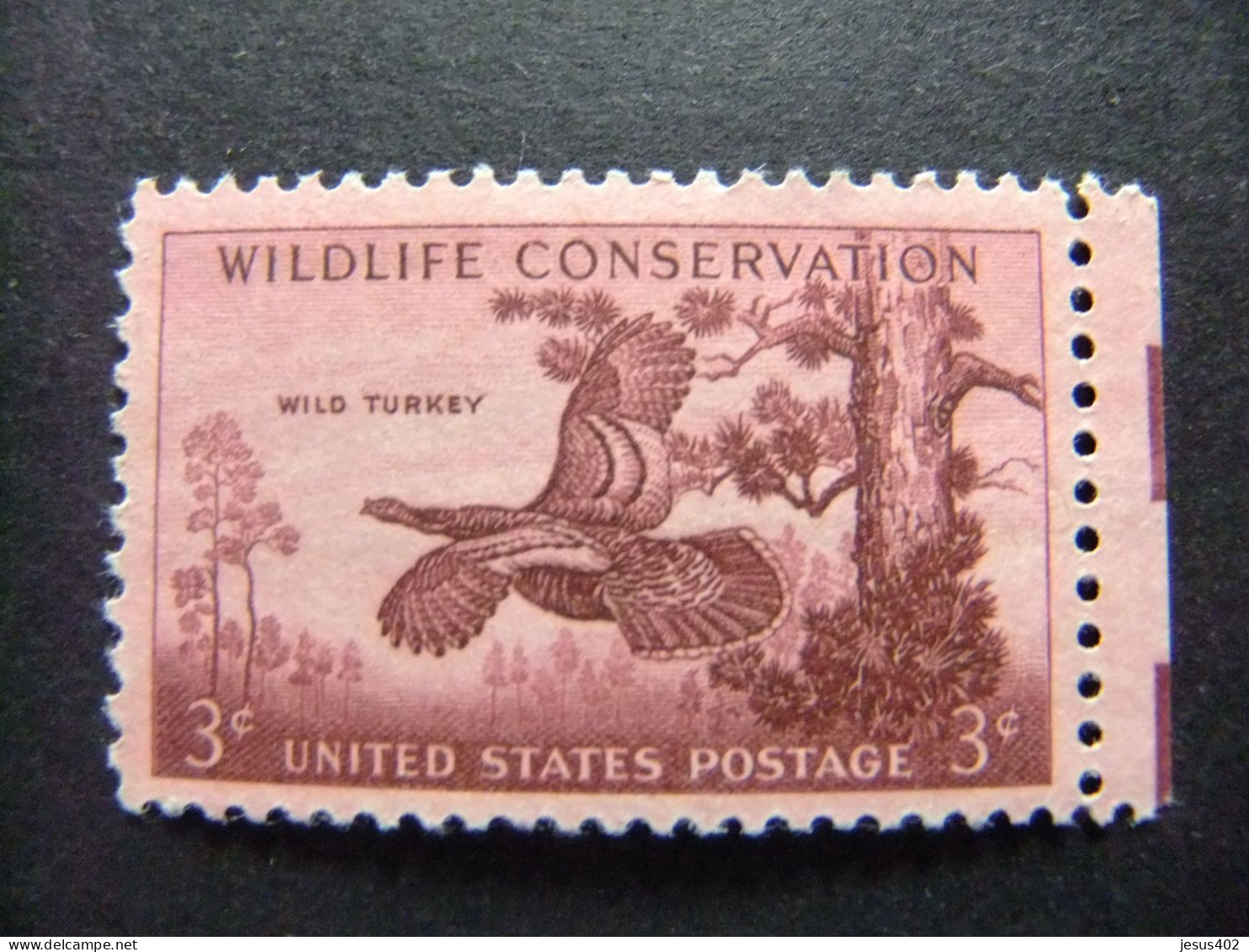 ESTADOS UNIDOS / ETATS-UNIS D'AMERIQUE 1955 / FAUNA SALVAJE YVERT 611 ** MNH - Unused Stamps