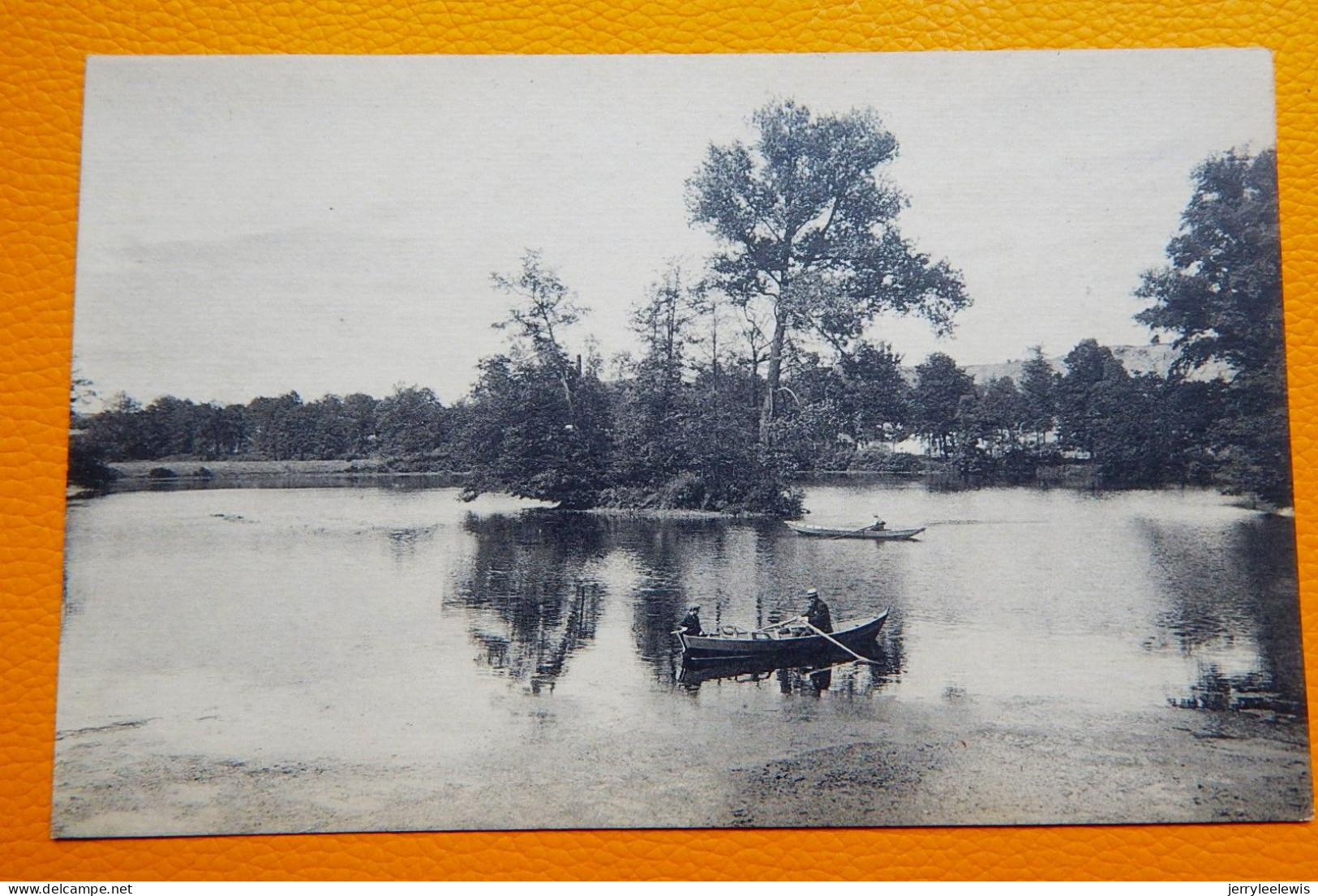 COUVIN  -   Parc De Saint-Roch -  Un Coin De L'étang - Couvin