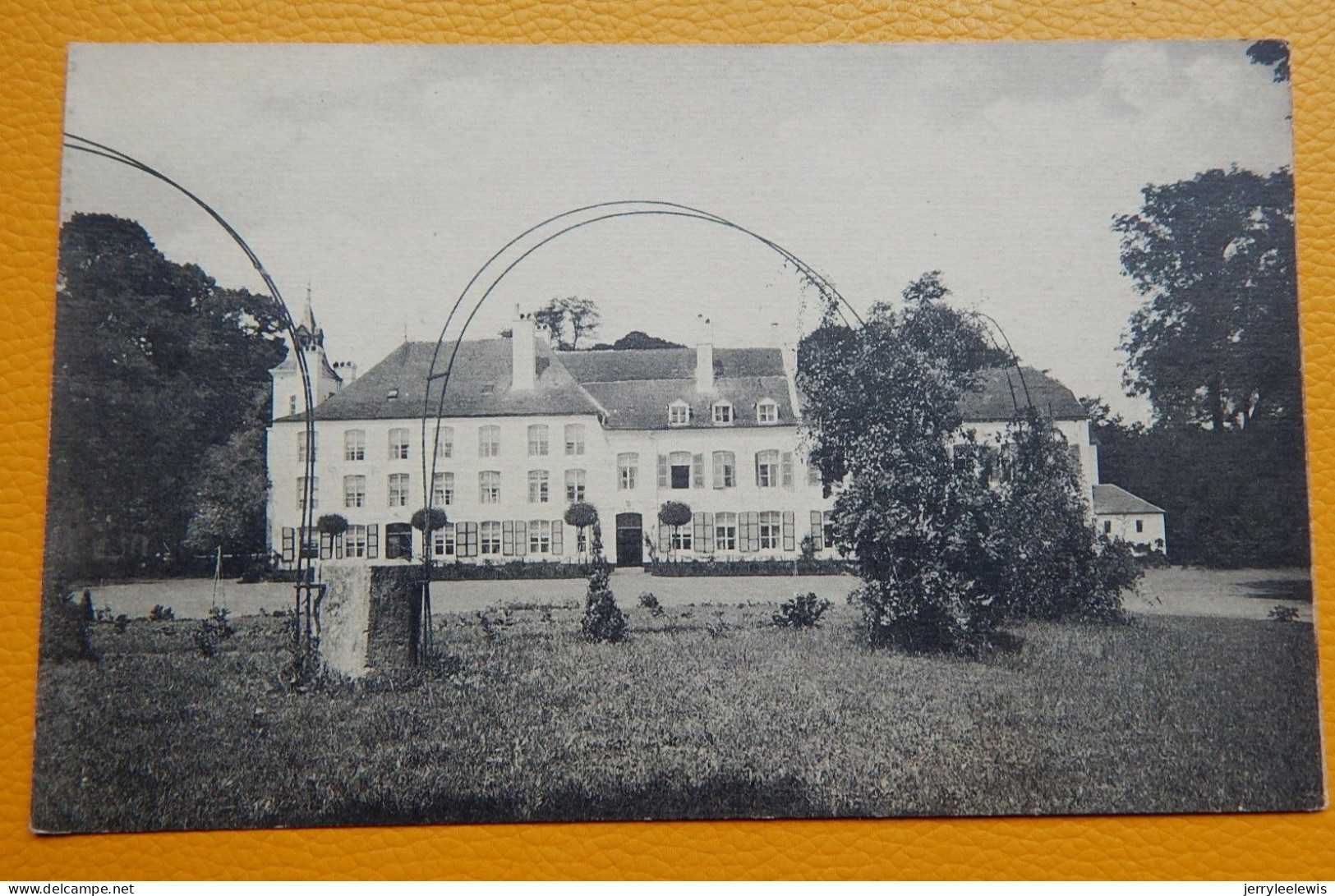 COUVIN  -   Parc De Saint-Roch -  Le Grand Hôtel, Ancien Château - Couvin